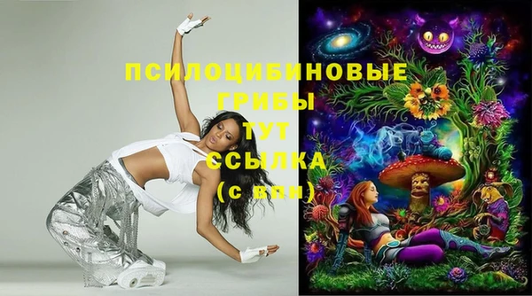 PSILOCYBIN Баксан