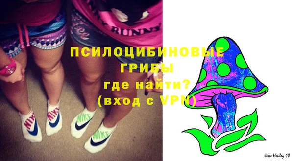 соль ск Балабаново