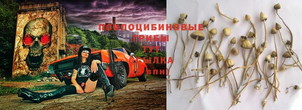 соль ск Балабаново